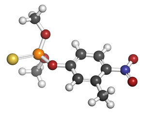 Fenitrothion phosphorothioate insecticide molecule.