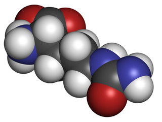 Citrulline amino acid molecule.