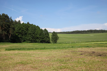 Field