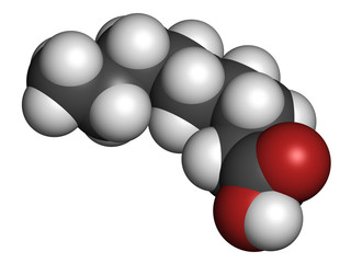 Nonanoic acid (pelargonic acid) molecule.