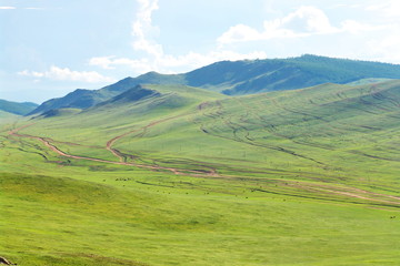 Mongolian landscape