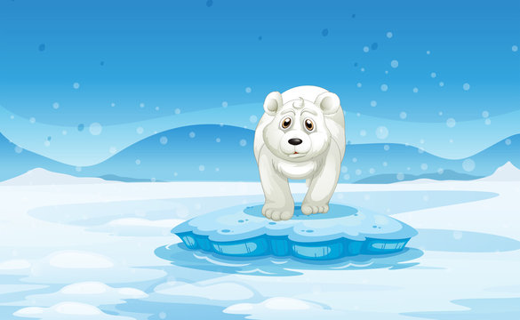 A sad polar bear standing above the iceberg