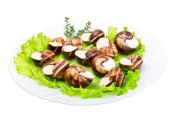 Escargot