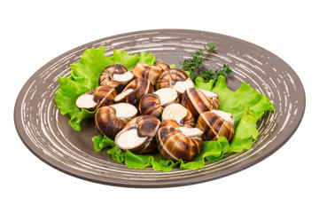 Escargot