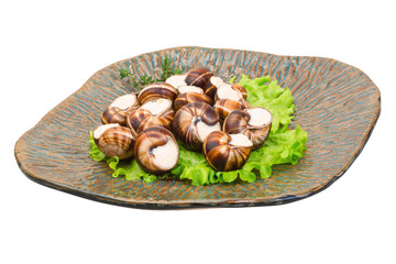 Escargot