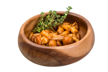 Armillaria