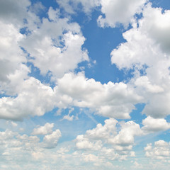 Fototapeta premium clouds in the blue sky