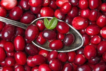 fresh cranberries
