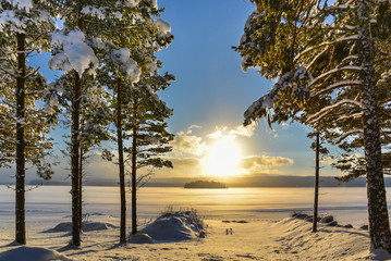 Naklejka premium Beautiful winter picture of a lake with pine trees in the foregr