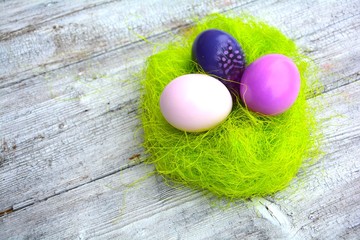 drei Eier im Nest