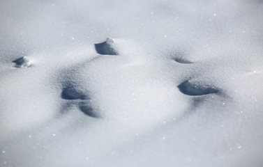 trace