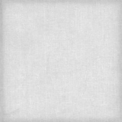 White canvas background or texture