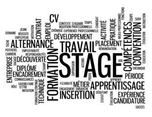 Nuage de Tags "STAGE" (&eacute;tudes formation continue travail emploi)