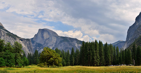 Yosemite Valley - 60677852