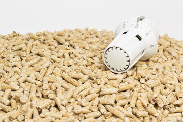 Holzpellets Heizungsthermostat