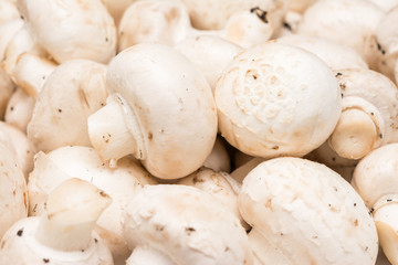 Fresh Champignon Mushrooms Pile In Market Stand