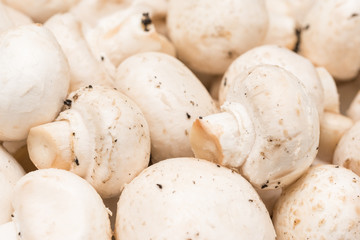 Fresh Champignon Mushrooms Pile In Market Stand