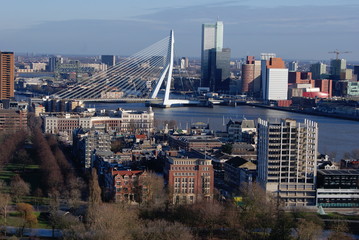 rotterdam