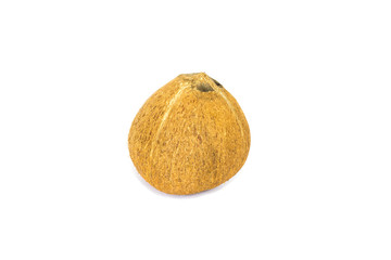 coconut on white background
