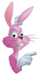 Pink rabbit pointing