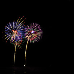 Brightly colorful fireworks in the night sky