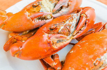 Grilled Crab on white plate
