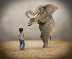 Elefante Adiestrado © Giovanni Cancemi