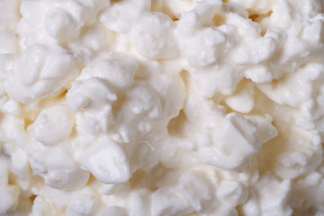 white cottage cheese texture closeup. macro.