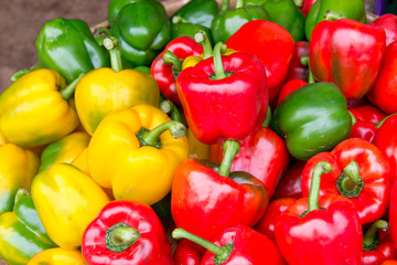 Colorful sweet bell peppers