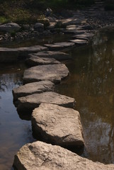 ogród japoński © lajdaczysko