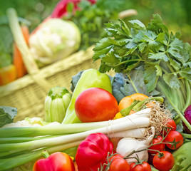 Fresh  vegetables