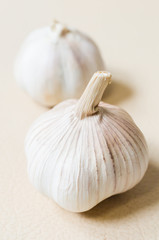 Garlic