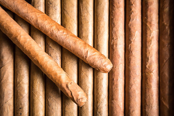 Close up of Wooden humidor full of cigars