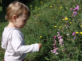 fillette a la fleur