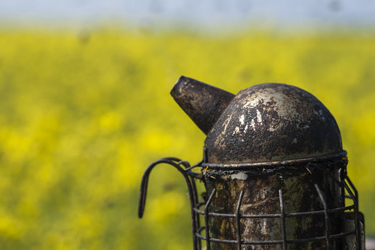Imkerpfeife auf einem Bienenkasten am Rapsfeld