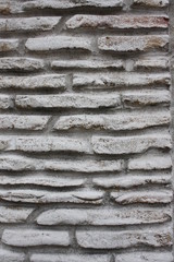 Parete rivestita con mattoncini rustici
