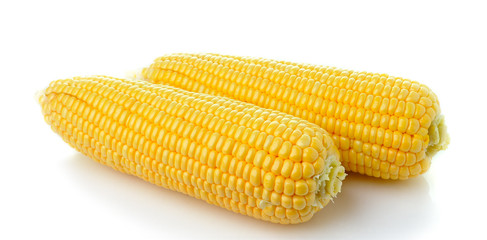 corn isolated on white background