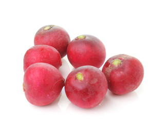 radish isolated on white background
