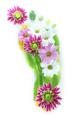 Footprint of leaves and flowers isolated on white