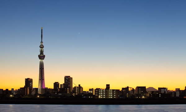 Tokyo city view and tokyo sky tree , sihouette skyline