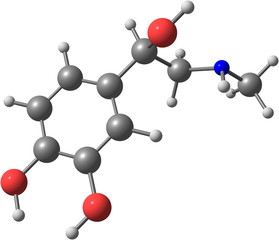 Adrenaline molecule on white background
