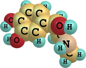 Adrenaline molecule on white background