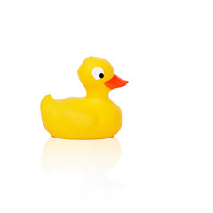 duck rubber toy