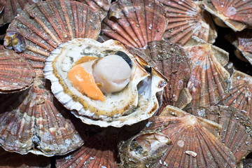 Coquille Saint Jacques Photos Royalty Free Images Graphics