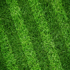 Obraz premium Sport lined grass field