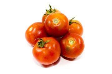 Frische Rote Tomaten