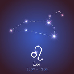 Vector zodiac horoscope constellation - Leo