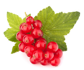 Red currants and green leaves still life