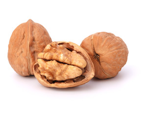 walnut