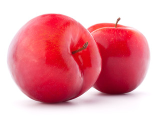 Sweet plum isolated on white background cutout